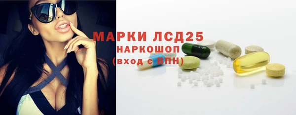 PSILOCYBIN Бугульма