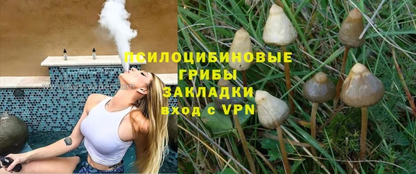 ALPHA PVP Бородино